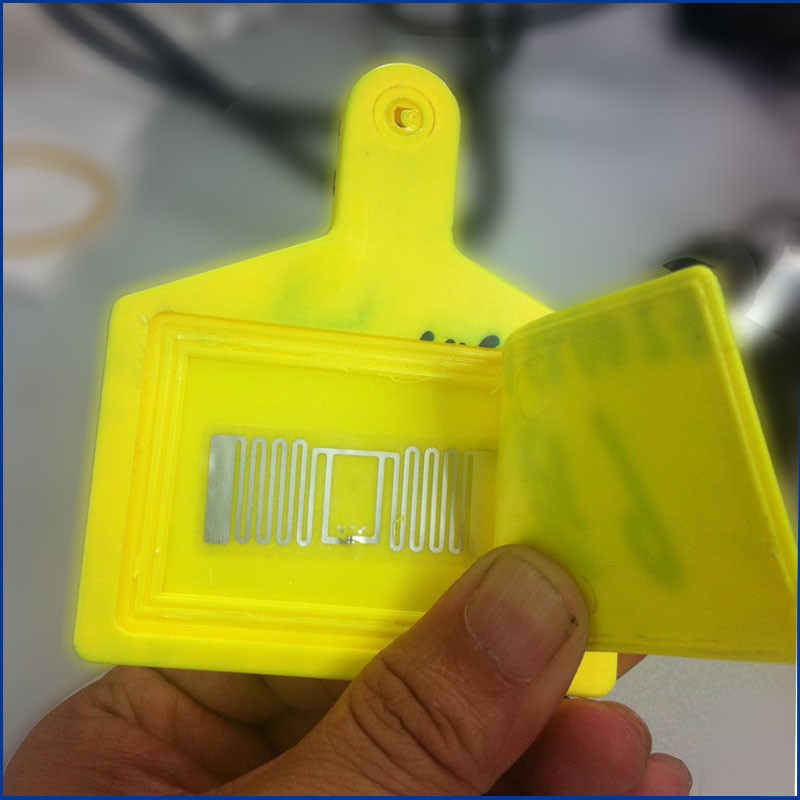 علامات أذن للحيوانات بتقنية UHF RFID عالية الجودة JT-307